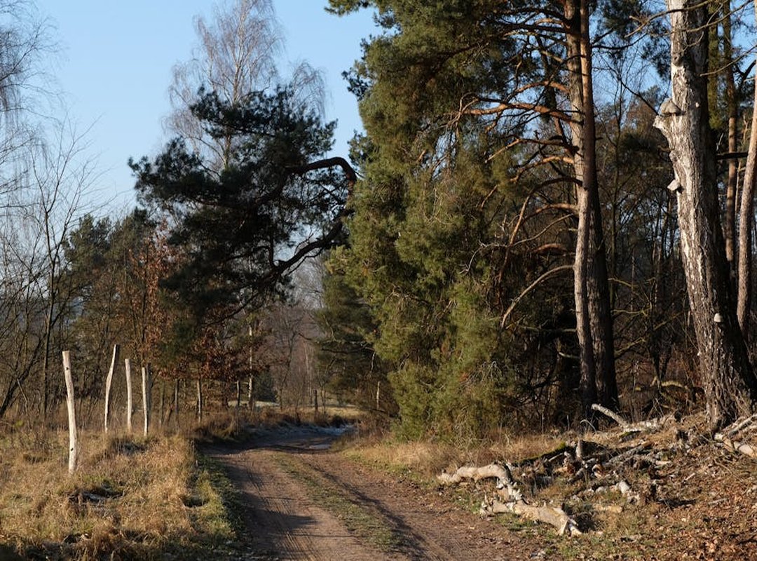 Why Can't I Download a Game Molldoto2 on My Pc